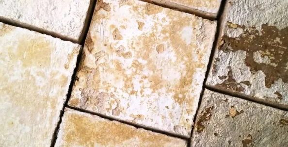 菌絲體保溫材料助力建筑材料創新